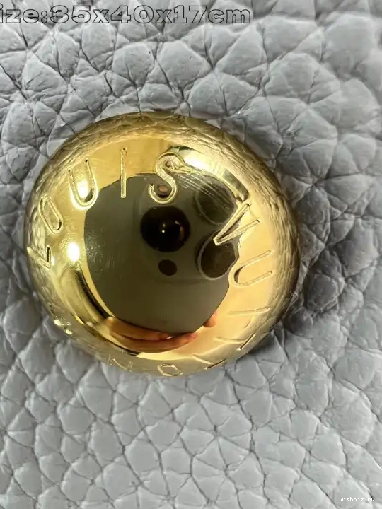 WIS VUITTON LOUIS CARMEL 0610